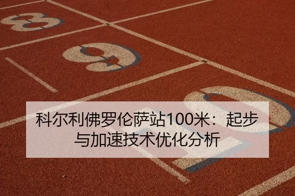 ke-er-li-fo-luo-lun-sa-zhan-mi-qi-bu-yu-jia-su-ji-shu-you-hua-fen-xi-2-900.jpg