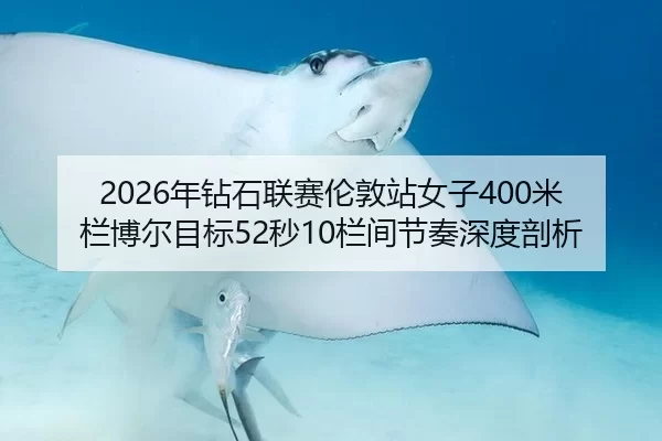 2026年钻石联赛伦敦站女子400米栏博尔目标52秒10栏间节奏深度剖析